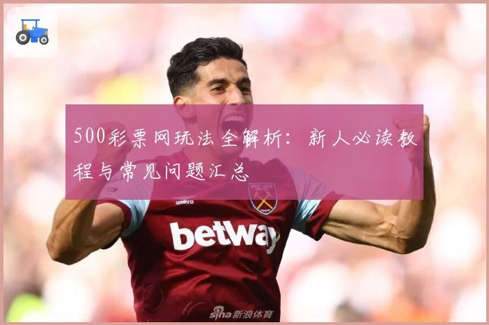 500彩票网玩法全解析：新人必读教程与常见问题汇总
