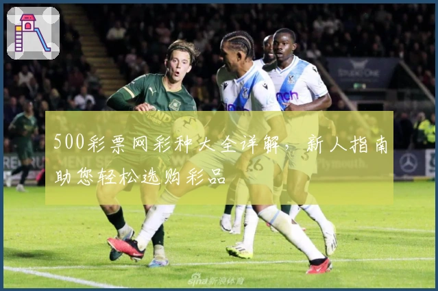 500彩票网彩种大全详解，新人指南助您轻松选购彩品