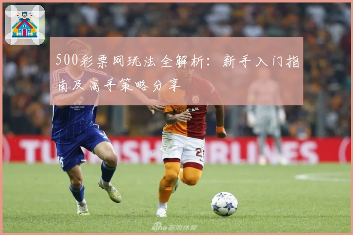 500彩票网玩法全解析：新手入门指南及高手策略分享