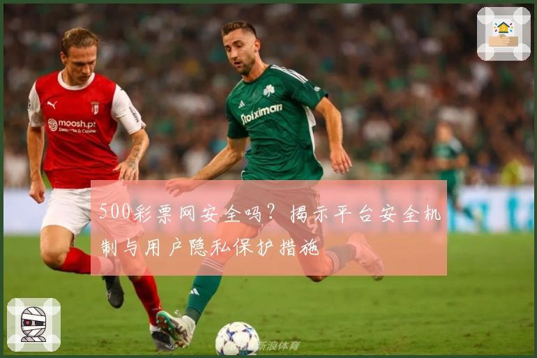 500彩票网安全吗？揭示平台安全机制与用户隐私保护措施